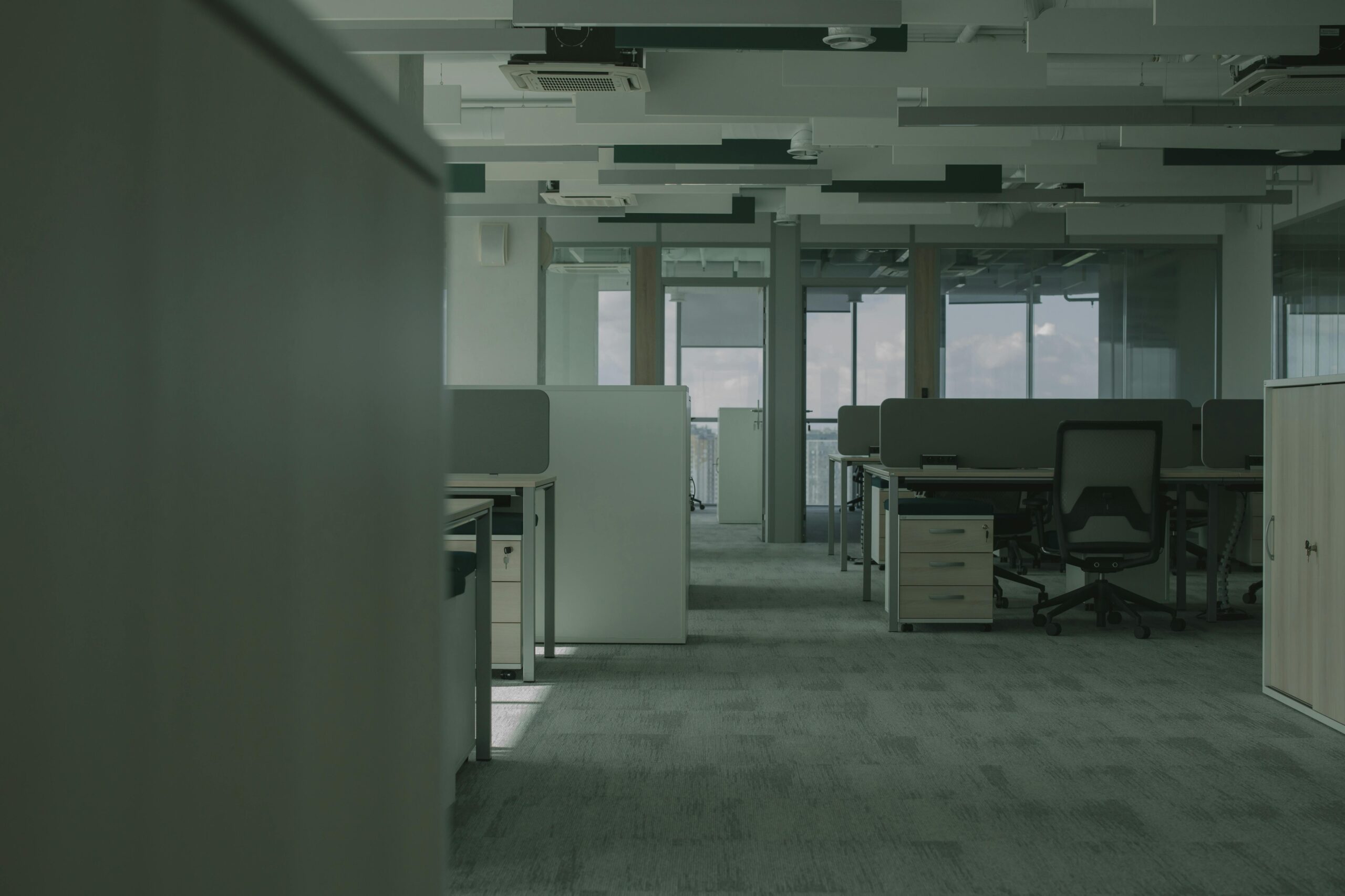 Commercial Sisal Carpet